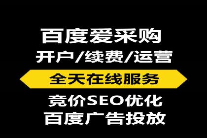 知名SEM服务公司成功案例分享